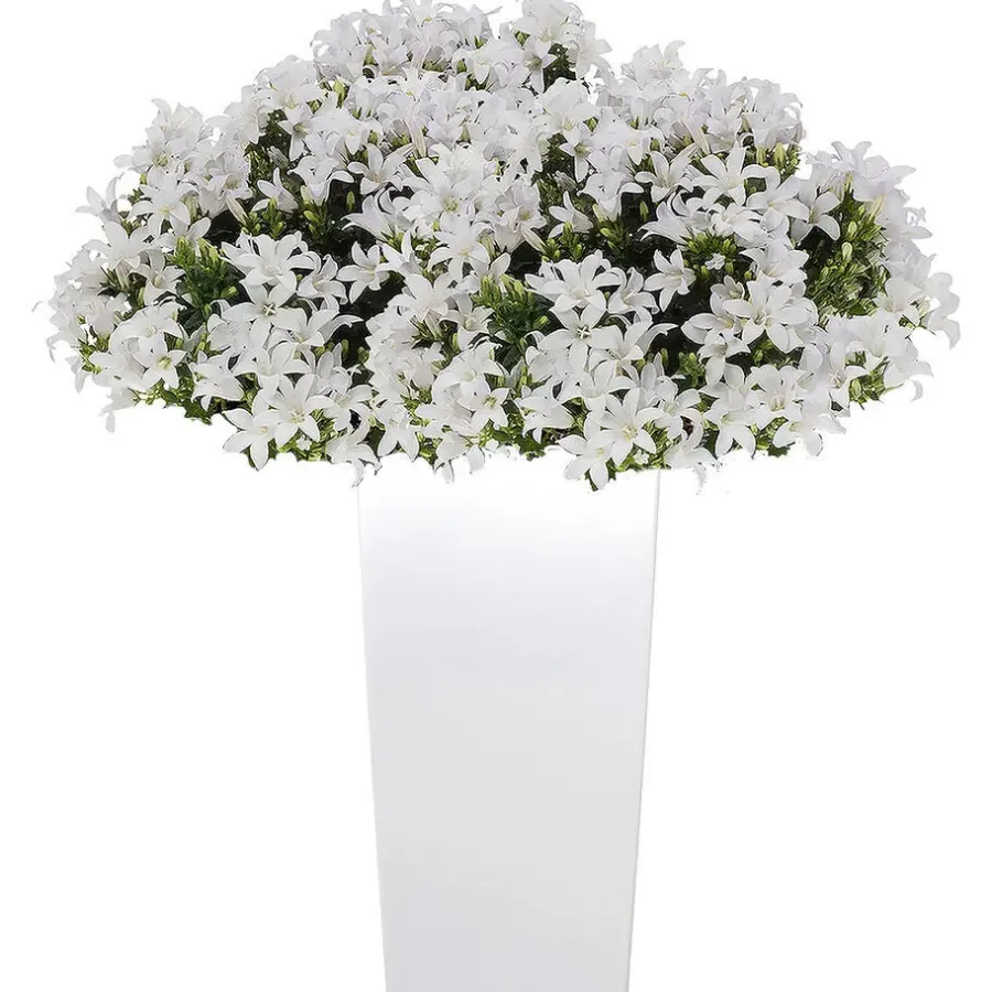 Prosperplast Bloempot Urbi - wit - kunststof - 61 cm