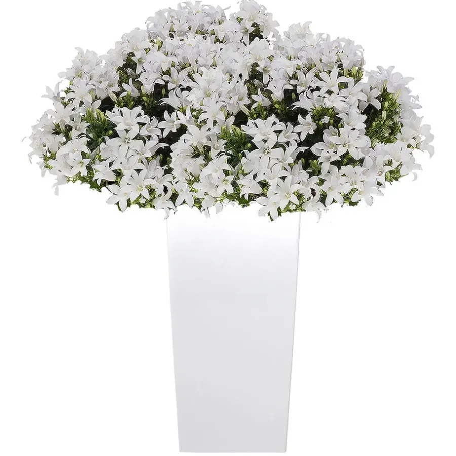Prosperplast Bloempot Urbi - wit - kunststof - 55 cm