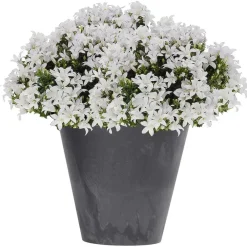 Prosperplast plantenpot - kunststof - antraciet - D40 x H37 cm