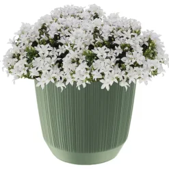 Bloempotten-Prosperplast Plantenpot - stripe - olijfgroen - D20xH17 cm