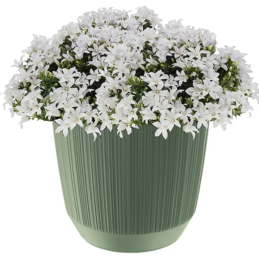 Bloempotten-Prosperplast Plantenpot - stripe - olijfgroen - D20xH17 cm