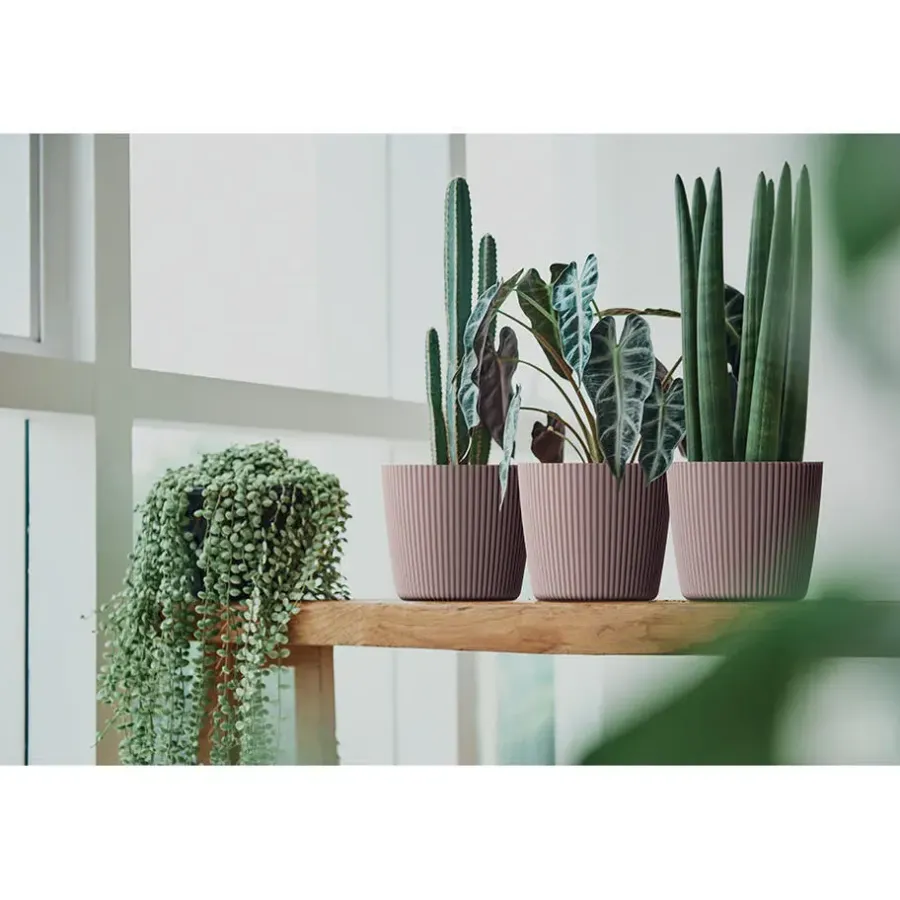 Bloempotten-Prosperplast Plantenpot Buckingham - dennen groen - D34 cm