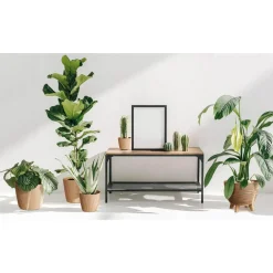 Bloempotten-Prosperplast Plantenpot Buckingham - ivoor wit - D39 cm