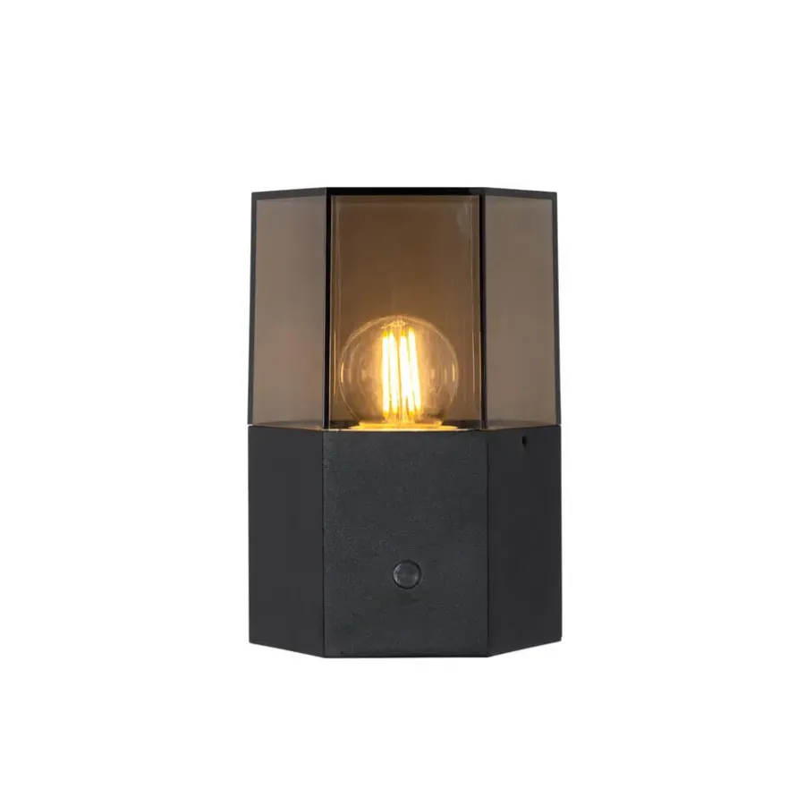 QAZQA buitenlampen met sensor denmark zwart e27