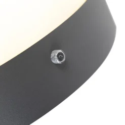Buitenverlichting|Wandlampen-QAZQA buitenlampen met sensor emmerald grijs e27