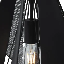 Hanglampen-QAZQA hanglampen carcass zwart e27