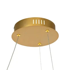 QAZQA hanglampen rowan goudkleurig geïntegreerde led