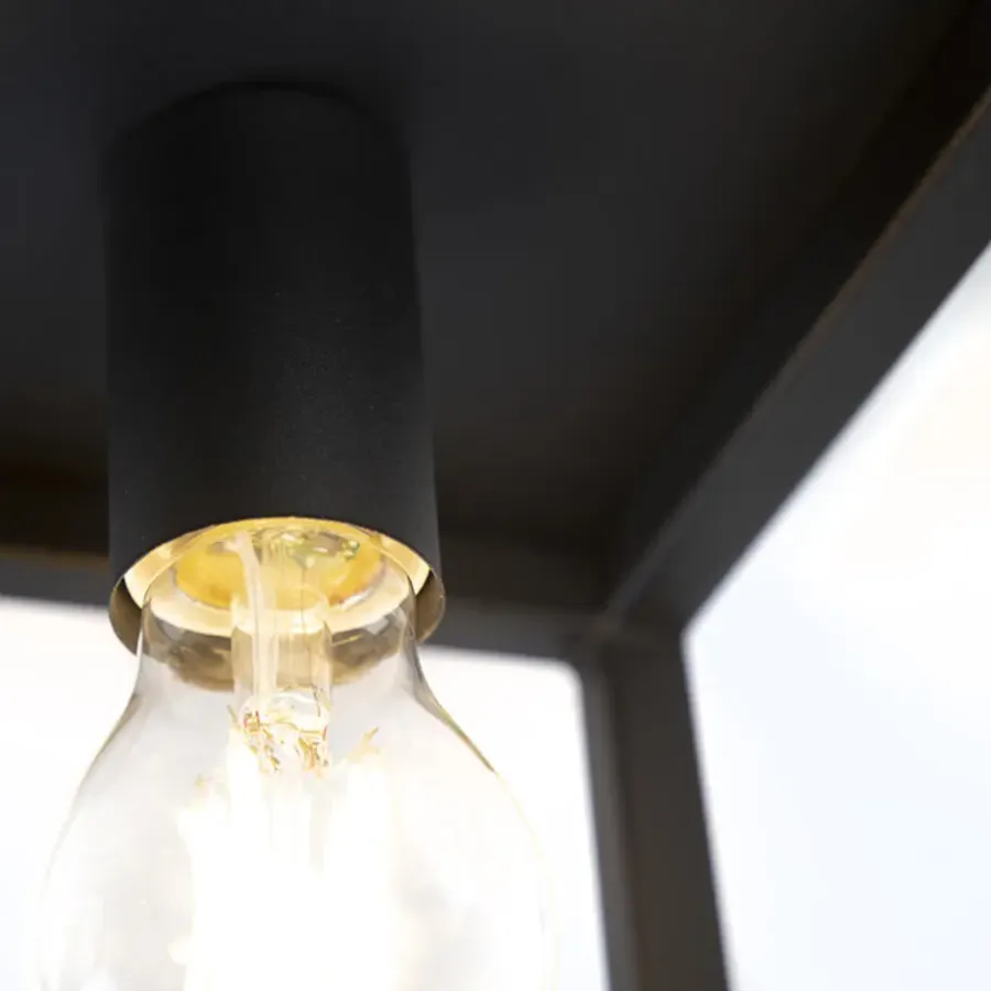 Plafondlampen-QAZQA plafondlampen cage zwart e27