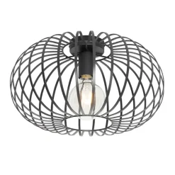 QAZQA plafondlampen johanna zwart e27