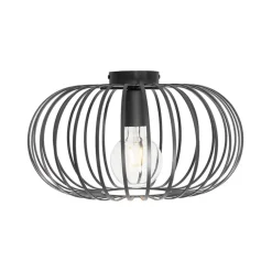 QAZQA plafondlampen johanna zwart e27