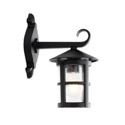 QAZQA wandlampen buiten herb zwart e27