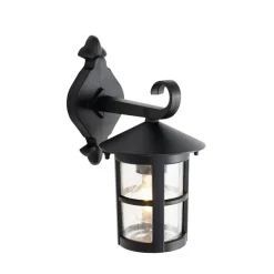 QAZQA wandlampen buiten herb zwart e27