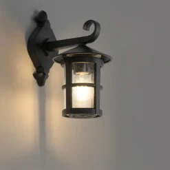 QAZQA wandlampen buiten herb zwart e27