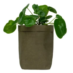 Bloempotten Voor Binnen-QUVIO Plantenzak uitwasbaar 10x10x20cm - Donker groen