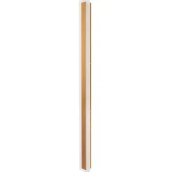 Beliani ROSALIE - Wandlamp - Goud - 100 cm - Staal