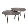 Salontafels-Giga Living Salontafel Brons Metaal - Set Van 2 - 76x61x43cm - Ray