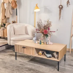 Salontafels-Nordlys Salontafel met 1 lade van essen en metaal