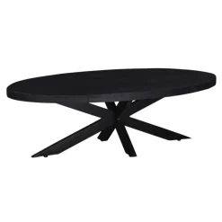 Salontafels-Giga Meubel Salontafel Ovaal - Zwart - 130cm - Mangohout - Tafel Mansour