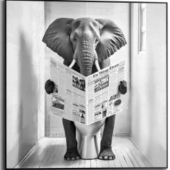 Posters-Reinders Schilderij Elephant Toilet - 50 x 50cm - Zwart-Wit
