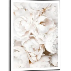 Schilderijen-Reinders Schilderij Witte rozen - 70 x 50cm - Wit