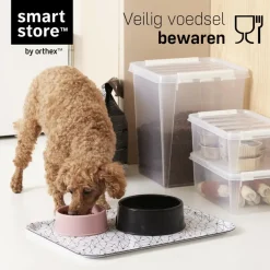 SmartStore Stevige Opbergbox 7L Set van 3 - 28x28x17cm