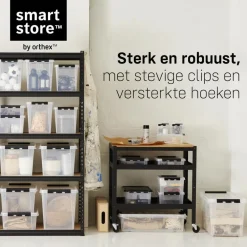 Opbergboxen-SmartStore Stevige Opbergbox 52L Set van 2 - 50x39x41cm