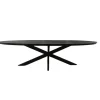 Houten Eettafels|Ovale Eettafels-Starfurn - Eettafel Brandy - Zwart - 120x300x76 cm