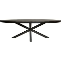 Ovale Eettafels-StarFurn - Eettafel Denver 160 cm ovaal - zwart