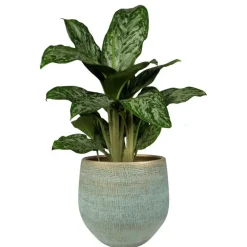 Ter Steege Steege Plantenpot - moderne look - blauw - 36 x 32 cm