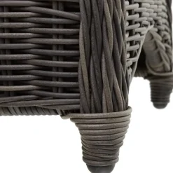 Tuinstoelen-tectake ® - 2 Luxe wicker stoelen - Fauteuils - zachte kussens - grijs - 403682