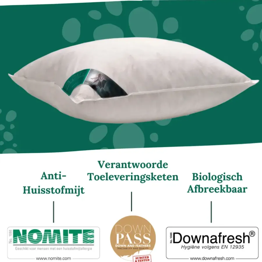 Ten Cate 100% Eendenveren Hoofdkussen - 60x70 - 2 stuks