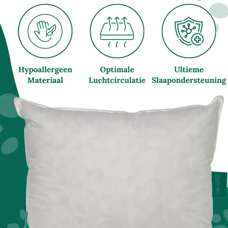 Ten Cate 100% Eendenveren Hoofdkussen - 60x70 - 2 stuks