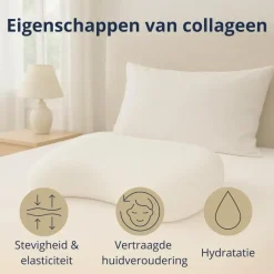 Ten Cate anti age hoofdkussen - traagschuim - 60x70 cm