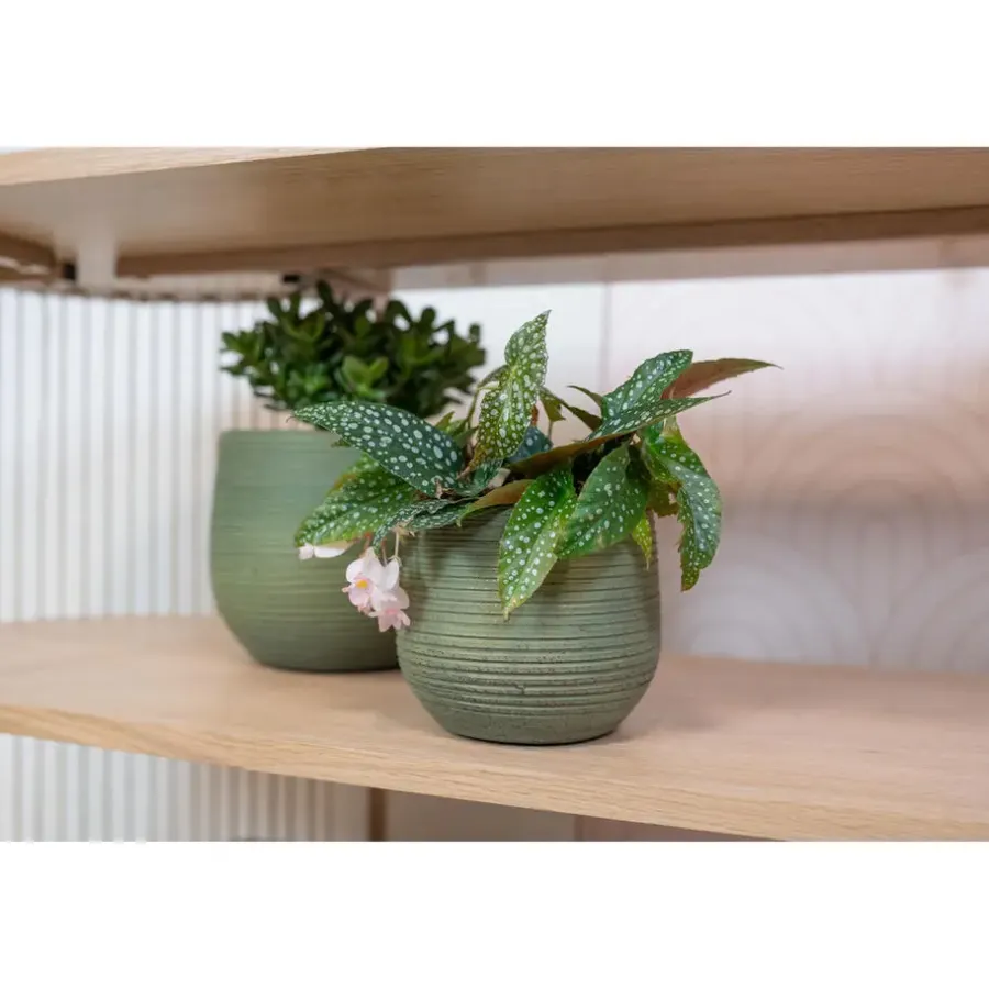 Bloempotten|Bloempotten Voor Binnen-Ter Steege Plantenpot - keramiek - donkergroen - stripes -31x28cm