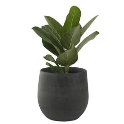 Bloempotten Voor Binnen-Ter Steege Plantenpot - moderne look - grafiet - 18 x 16 cm