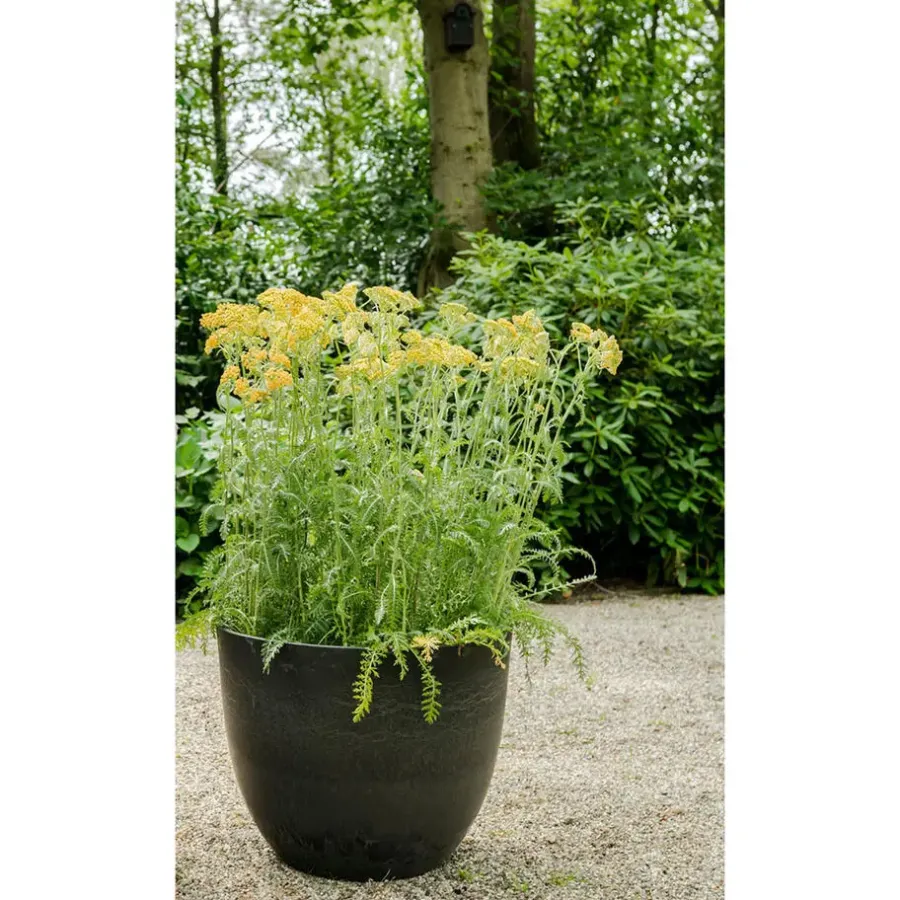 Ter Steege Plantenpot - zwart - kunststof - 28 x 24 cm