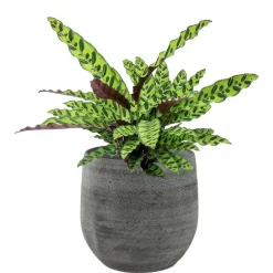 Bloempotten Voor Binnen-Ter Steege Plantenpot/bloempot - keramiek - grijs - 22 x 20 cm