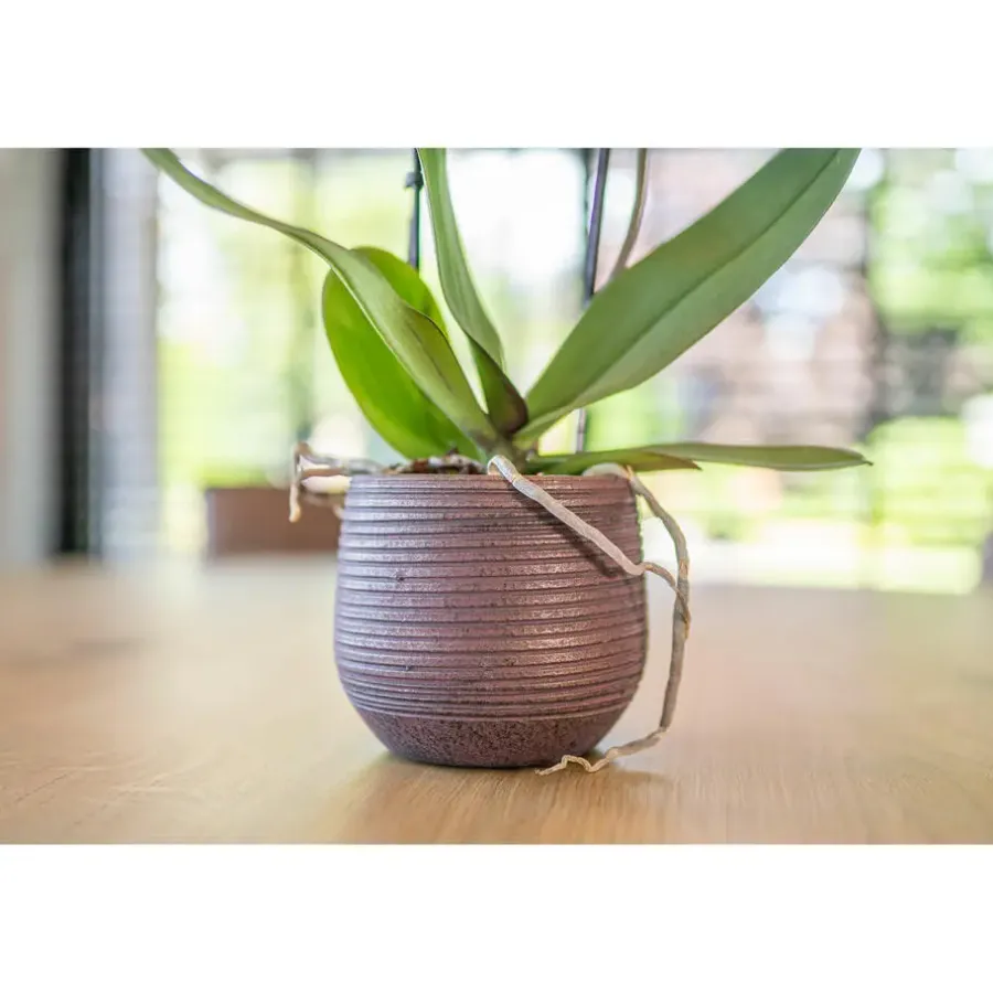 Ter Steege TS Collection plantenpot - Lydia - paars - 20 x 22 cm - keramiek