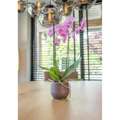 Ter Steege TS Collection plantenpot - Lydia - paars - 20 x 22 cm - keramiek