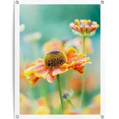 Reinders Tuinposter Bloem - 80 x 60cm - Oranje