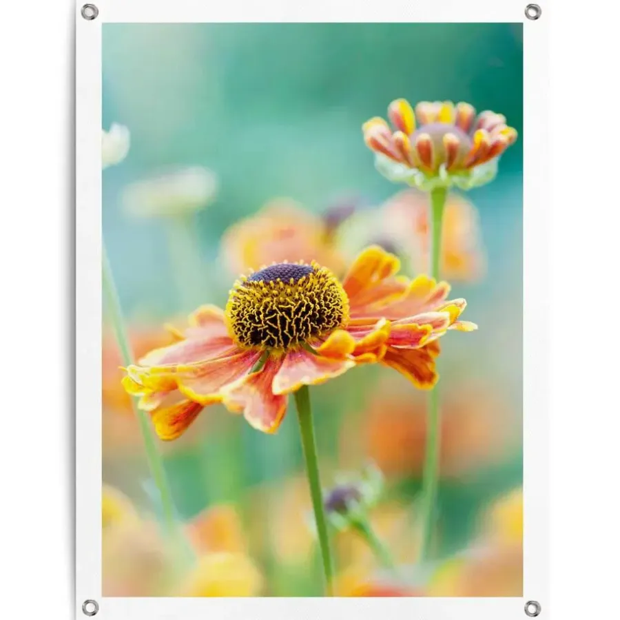 Reinders Tuinposter Bloem - 80 x 60cm - Oranje