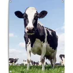 Tuindecoratie-Reinders Tuinposter Dutch Cow - 80 x 60cm - Groen