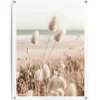Tuindecoratie-Reinders Tuinposter Grasses - 80 x 60cm - Beige