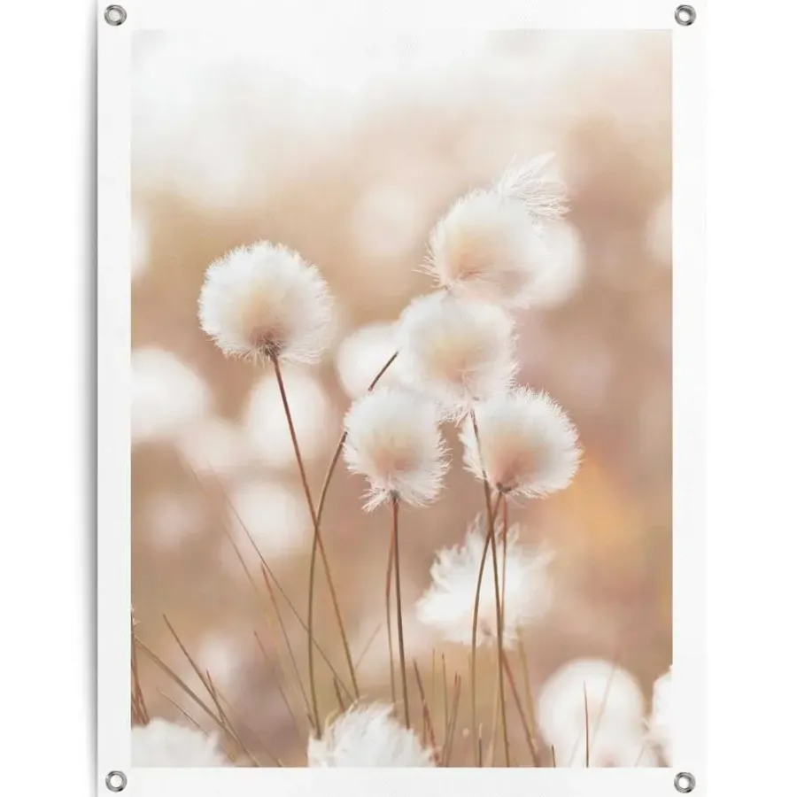 Tuindecoratie-Reinders Tuinposter Katoentak - 80 x 60cm - Beige
