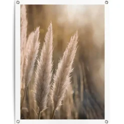 Reinders Tuinposter Pampas - 80 x 60cm - Beige