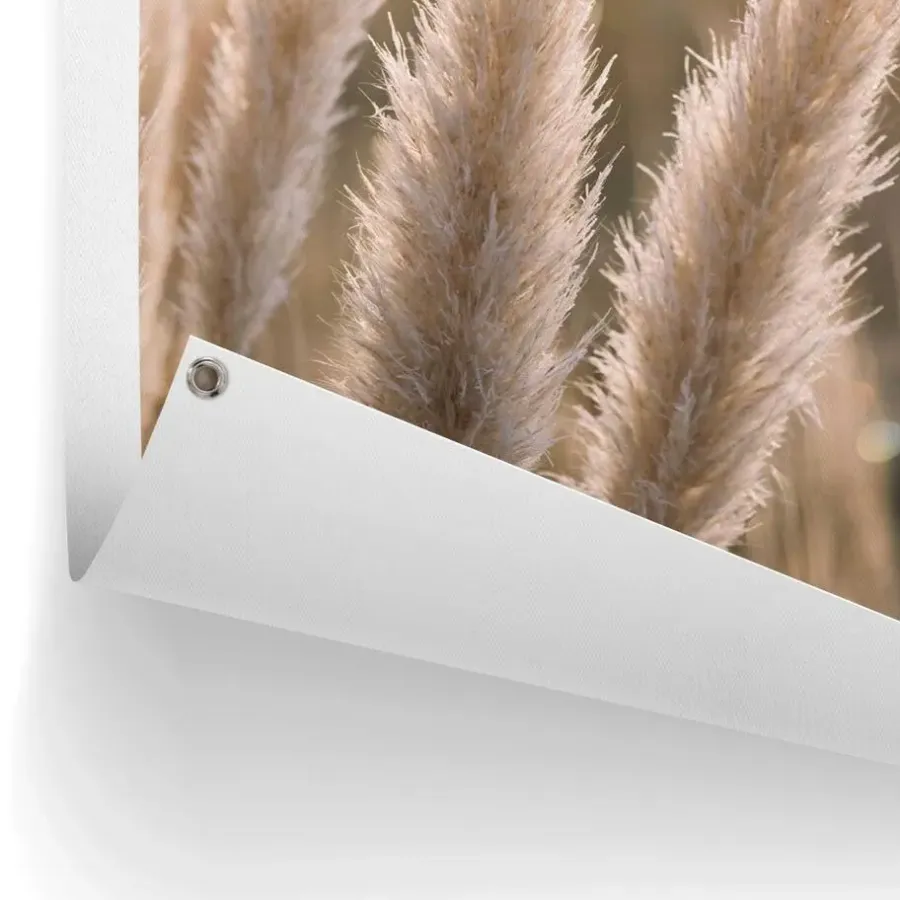 Reinders Tuinposter Pampas - 80 x 60cm - Beige