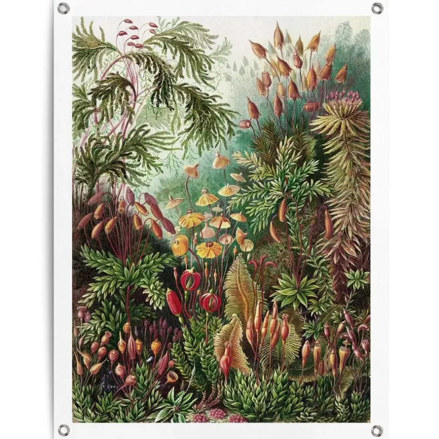 Reinders Tuinposter Sea Flora - 80 x 60cm - Groen