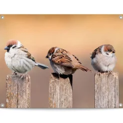 Reinders Tuinposter Vogels - 60 x 80cm - Beige