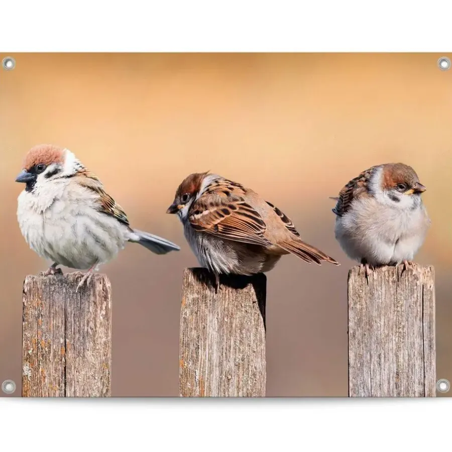 Reinders Tuinposter Vogels - 60 x 80cm - Beige