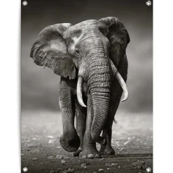 Reinders Tuinposter Wandelende olifant - 80 x 60cm - Zwart